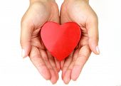 foto of hand  - Heart in the hands - JPG 