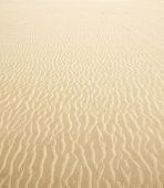 pic of beach  - Beach sand waves warm texture pattern background - JPG 