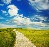 picture of yellow  - yellow brick road through green meadows - JPG 