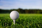 image of golf  - Golf ball on tee - JPG 