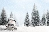 pic of tranquil  - Christmas Card - JPG 