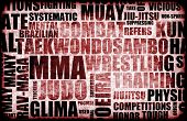 pic of art  - Mixed Martial Arts MMA as a Fighting Style - JPG 