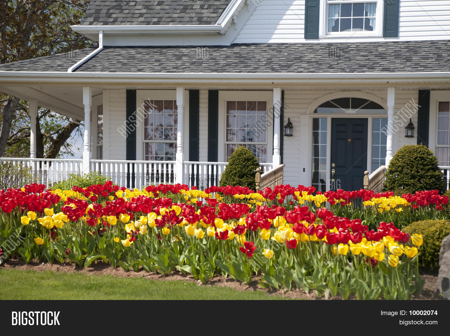 Tulip House Image & Photo (Free Trial) Bigstock