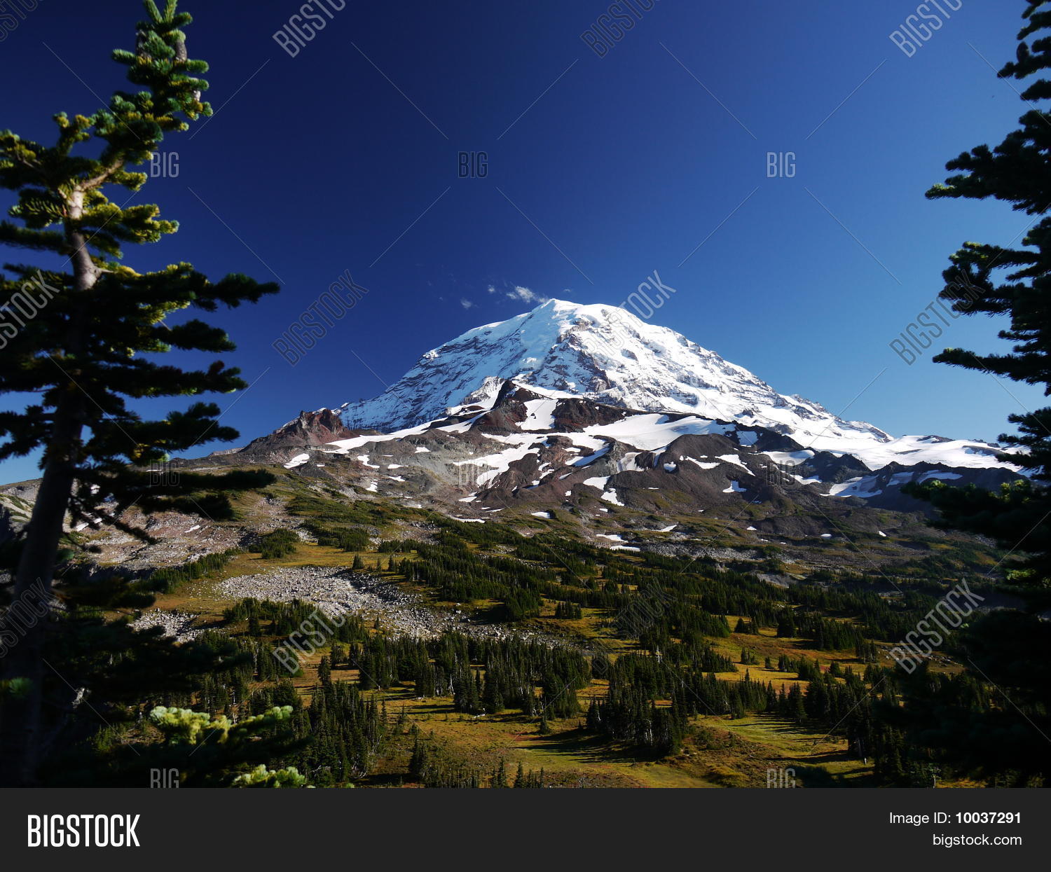 Image Preview