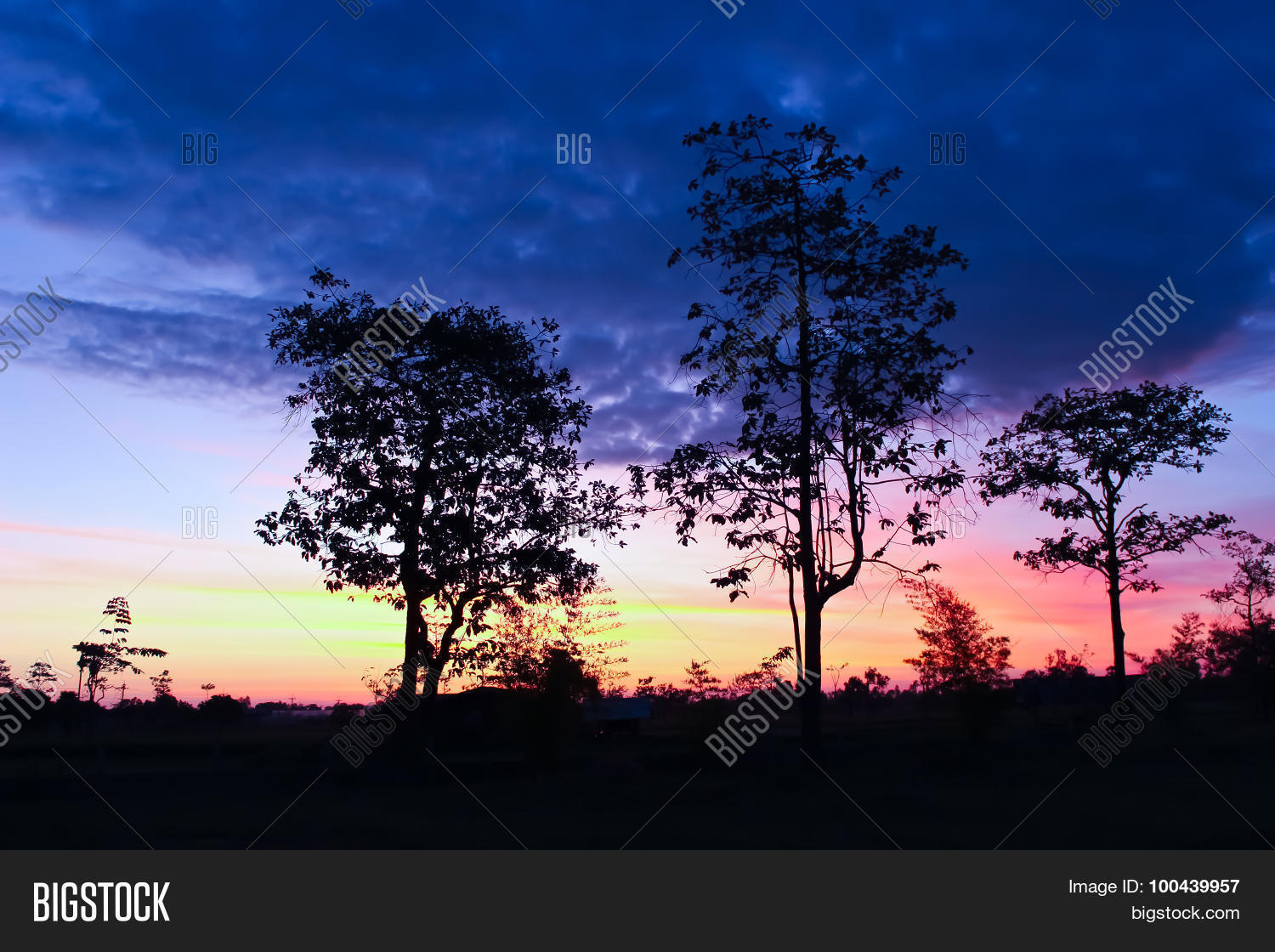 Image Preview