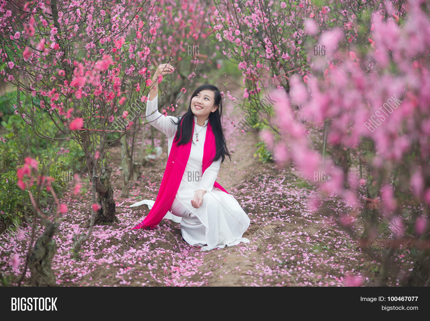Beautiful Vietnamese Image & Photo (Free Trial) | Bigstock
