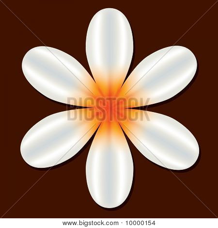 blomma