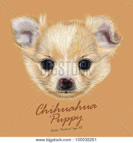 Vector Illustrative Portrait of Chihuahua Puppy