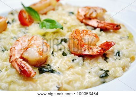 Tasty risotto with tiger prawns and special Arborio rice