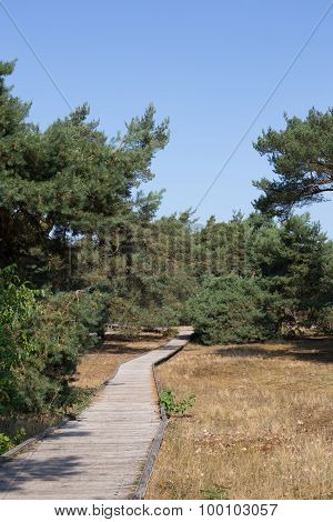 Planks way