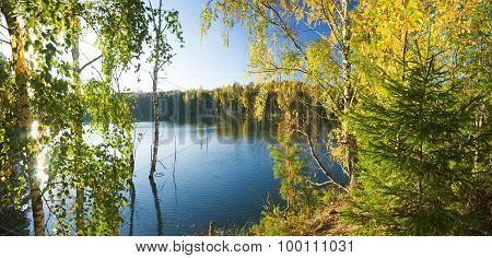 lake with golden trees on the bank