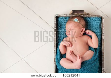 Sleeping Newborn Baby Girl In Wooden Crate