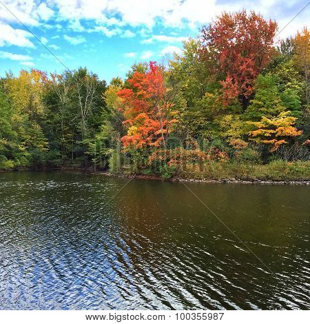 Autumn Trees On A Lakeshore