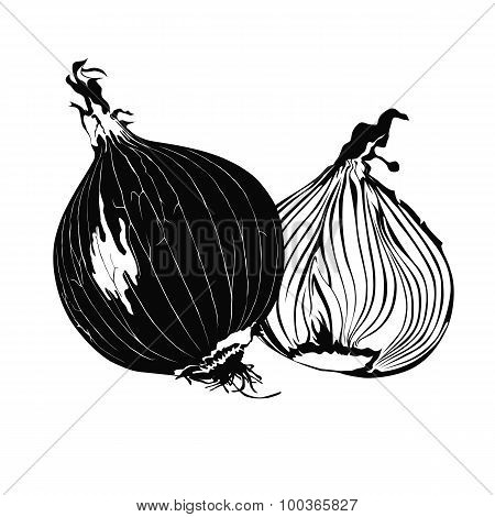 Fresh onion bulbs isolated on white background