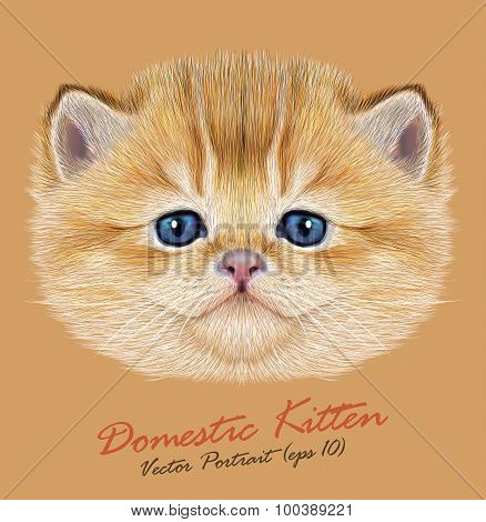 Vector Portrait of Domestic Kitten