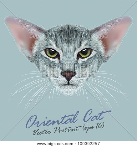 Vector Portrait of Oriental Cat