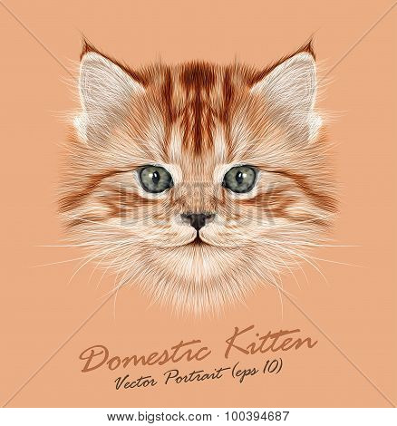 Vector Illustrative Portrait of Domestic Kitten