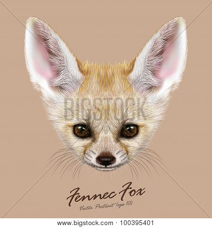 Vector Illustrative portrait of Fennec Fox