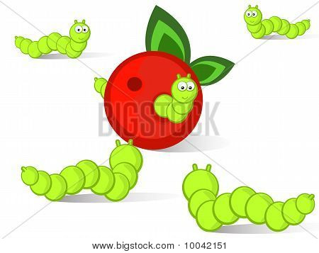 Caterpillars