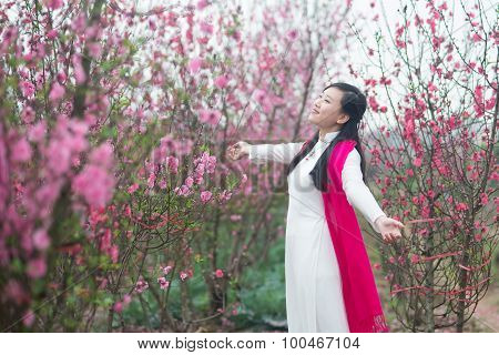 Beautiful Vietnamese girl with traditional dress (ao dai) is in peach flower garden in Hanoi, Vietna