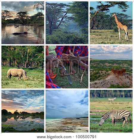 Africa