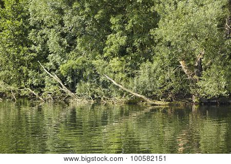 Bochum (germany) - Riverside Of The River Ruhr