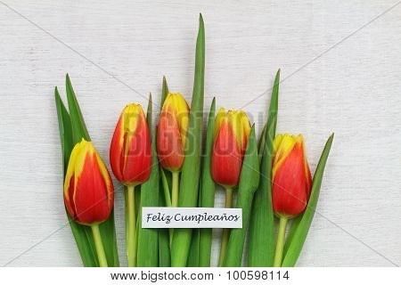 Feliz cumpleanos (Happy birthday in Spanish) with red and yellow tulips