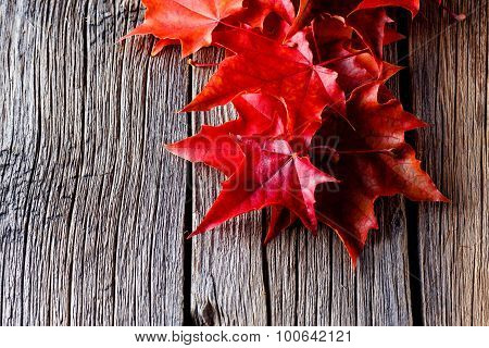 Autumn Forest Background. Fall On Leaves On Weathered Table