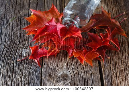 Fall On Leaves On Weathered Table With Glass Bottle