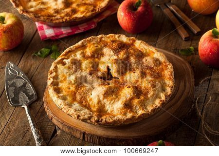 Fresh Homemade Apple Pie
