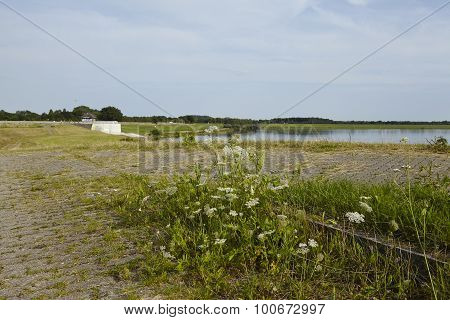 Alfhausen (germany) - Alfsee (lake)