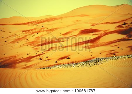 Amazing sand dune formations in Liwa oasis United Arab Emirates