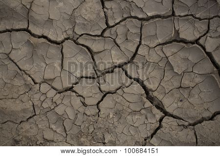 Cracked Brown Ground