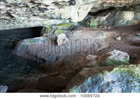 Pieni luola mela (crimea, Ukraina).