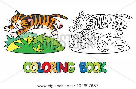 Coloring book of funny wild  tiger
