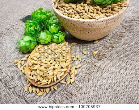 Fresh Hops And Barley Grain - Closeup