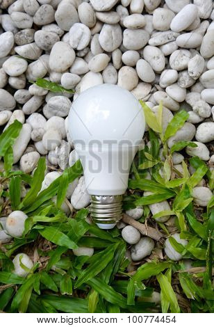 Led Bulb - Energy And Green Nature