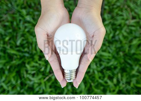 Led Bulb - Energy Lighting In Our Control