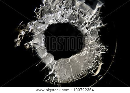 shot window