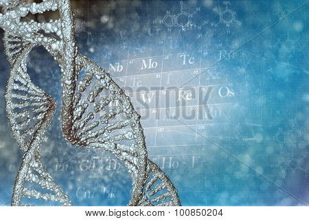 DNA Molecules