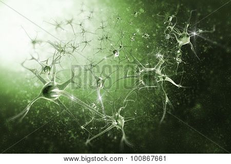 3d Illustration Neurons Of The Human Brain