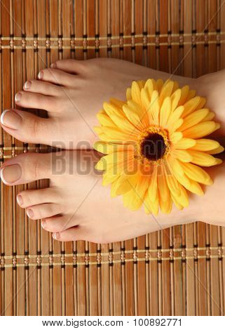 Care for beautiful woman legs with flower