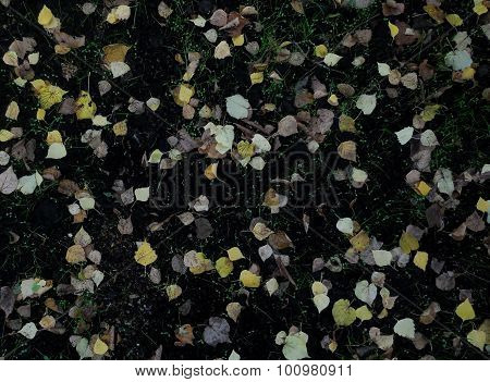 Fallen leaves pattern
