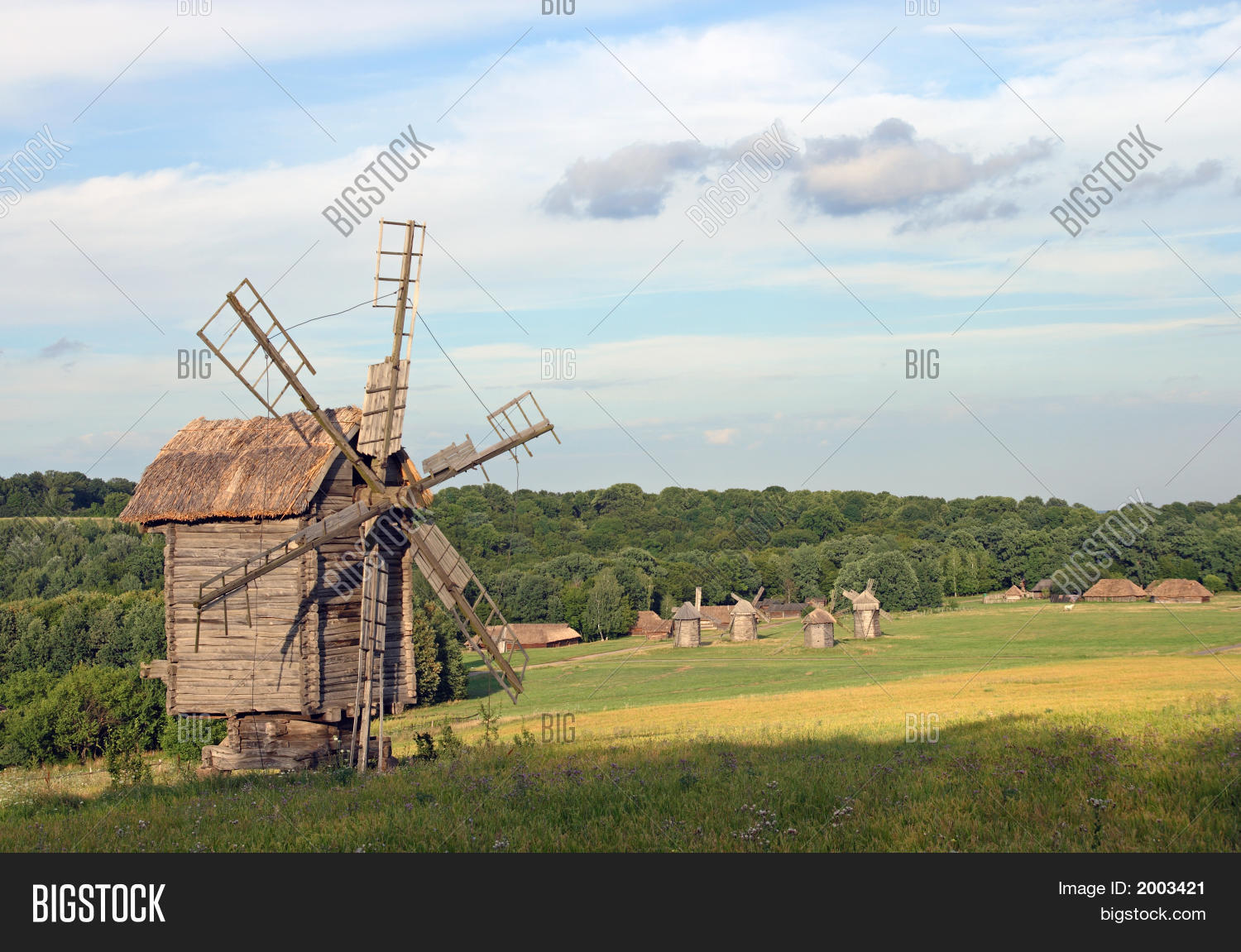 Image Preview