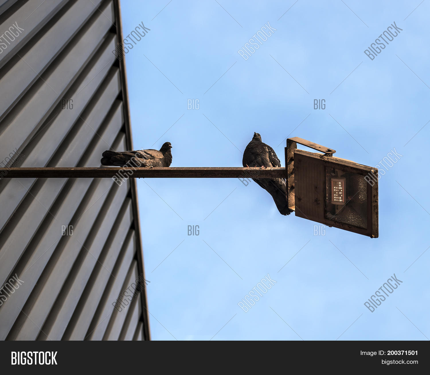 Image Preview