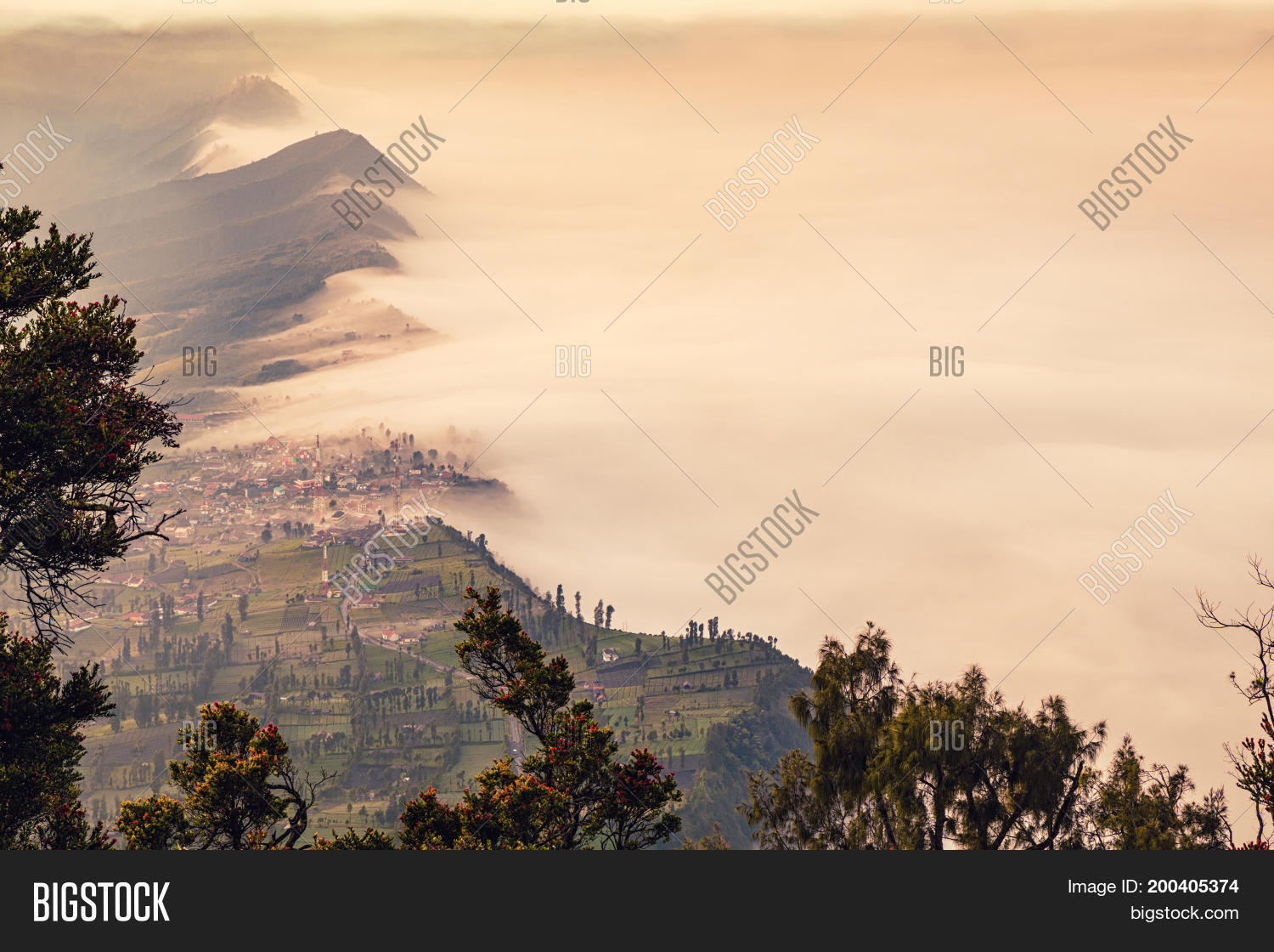 Image Preview