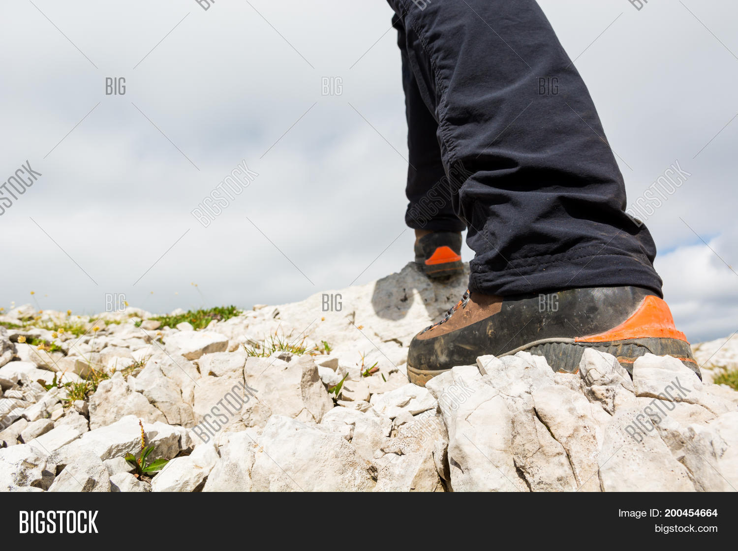 Image Preview