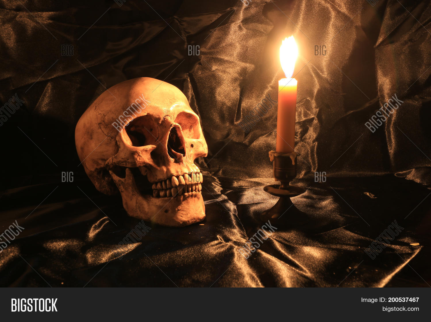 Still Life Skull Image Photo Free Trial Bigstock Find & download free graphic resources for light texture. skull image photo free trial bigstock