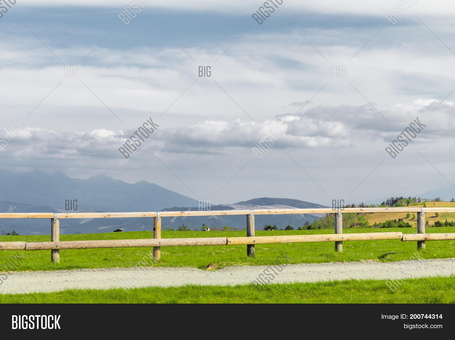 Image Preview