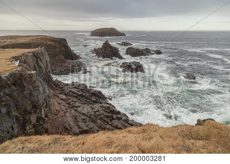 Rapids And Cliffside Newfoundland